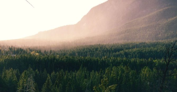 Registered Nurse Prescriber