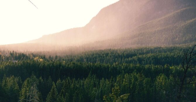 Genetic Blood Testing