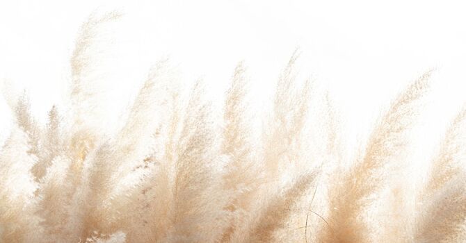 Genetic Blood Testing